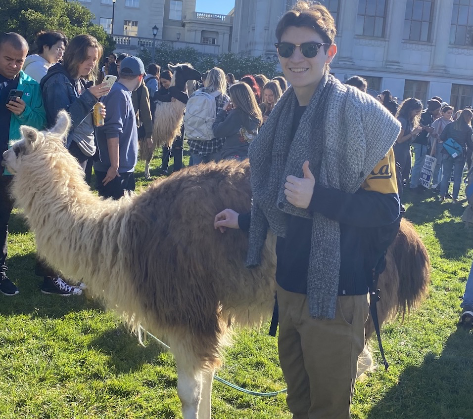 Llama